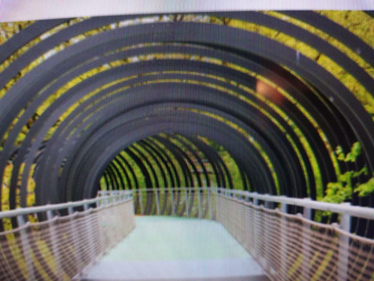 Fewofaubelcentro 42 & 54 & 62 M2